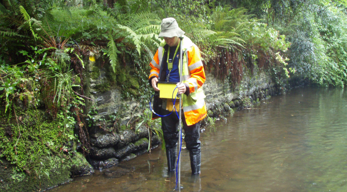 Creek Survey